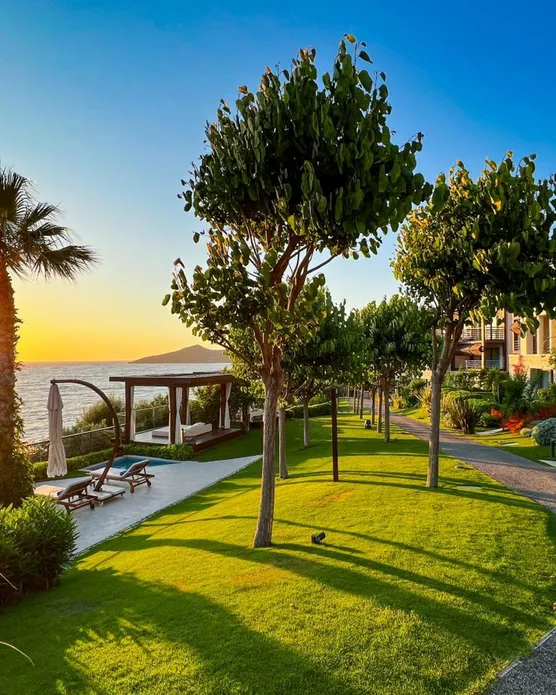 Allium Bodrum Resort & Spa, photo 3