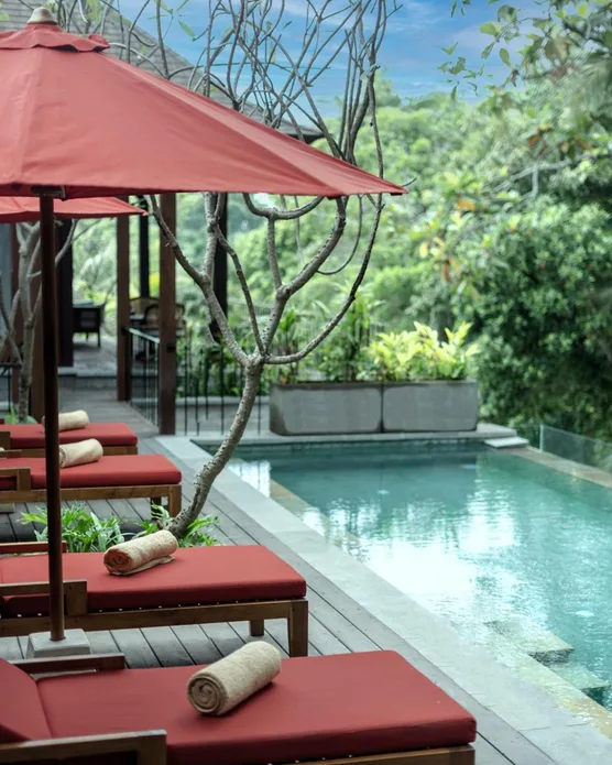 AnandaDara Ubud Resort & Spa, photo 12