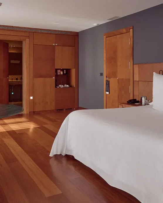 Andorra Park Hotel, photo 38