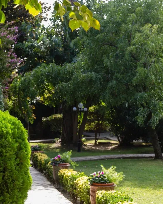 Auberge de Cassagne, photo 44