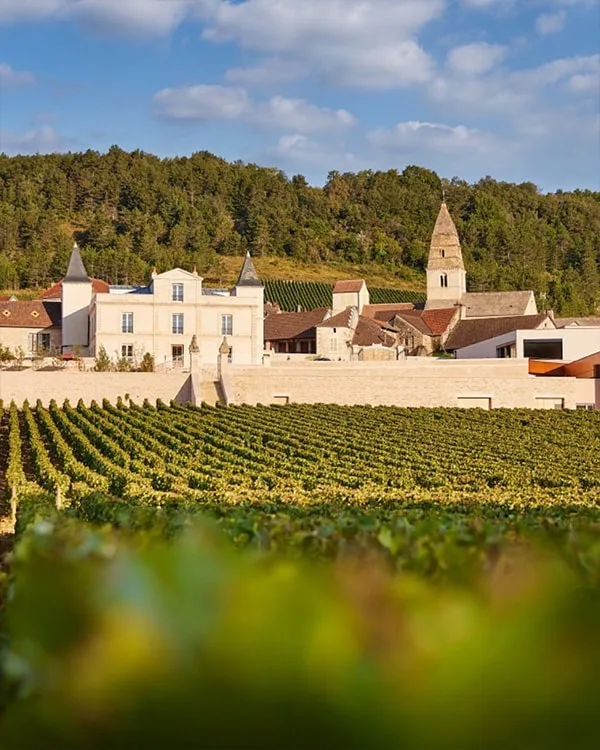 beaune vignoble