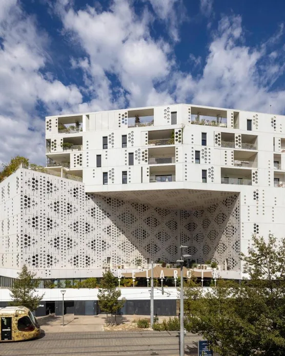 Belaroia Montpellier, photo 5