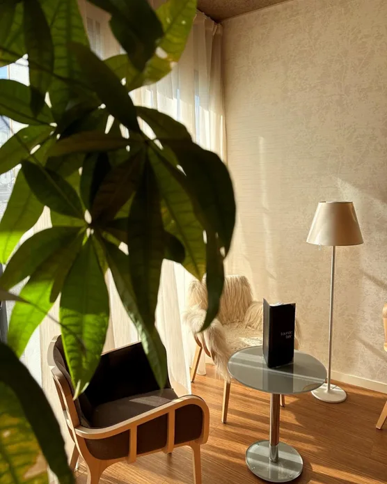 Brit Hôtel Plerin, photo 15