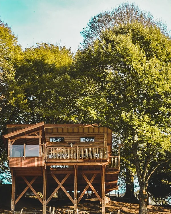 cabane dans les arbres