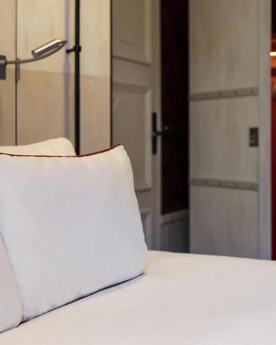 Carlton Hotel Lyon - MGallery Collection, photo 17