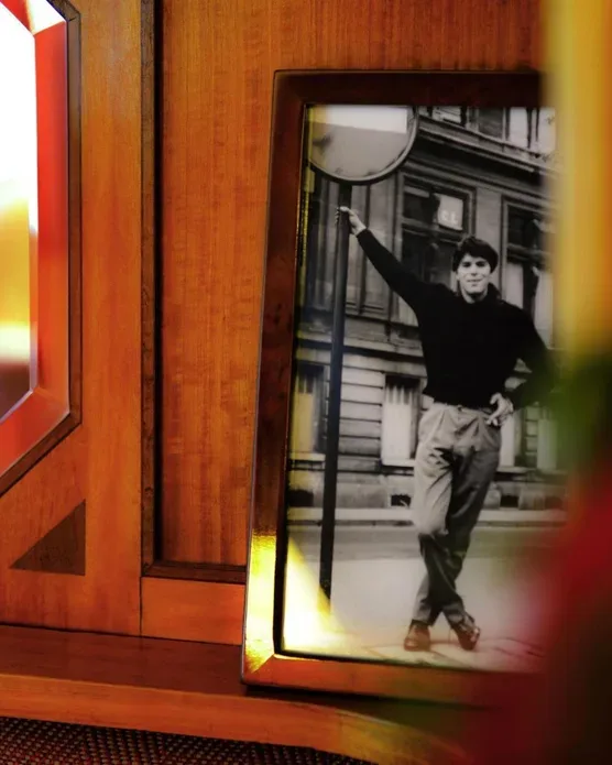 Carlton Hotel Lyon - MGallery Collection, photo 19