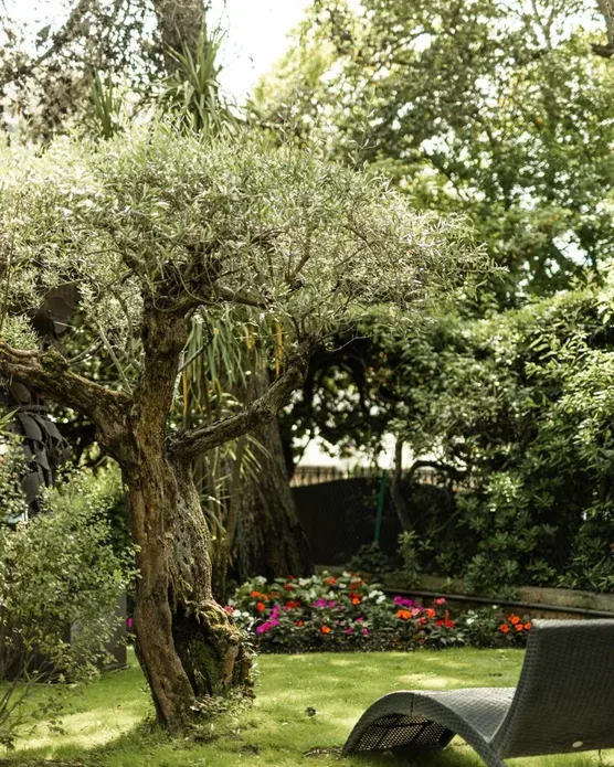 Cézanne Hôtel, photo 40