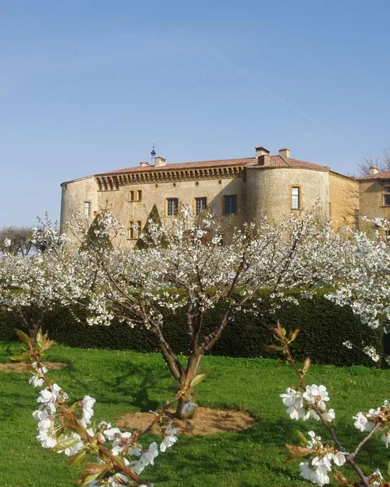 Château De Bagnols, photo 34