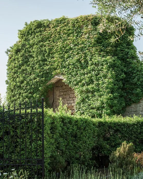 Château Saint-Martin, photo 5