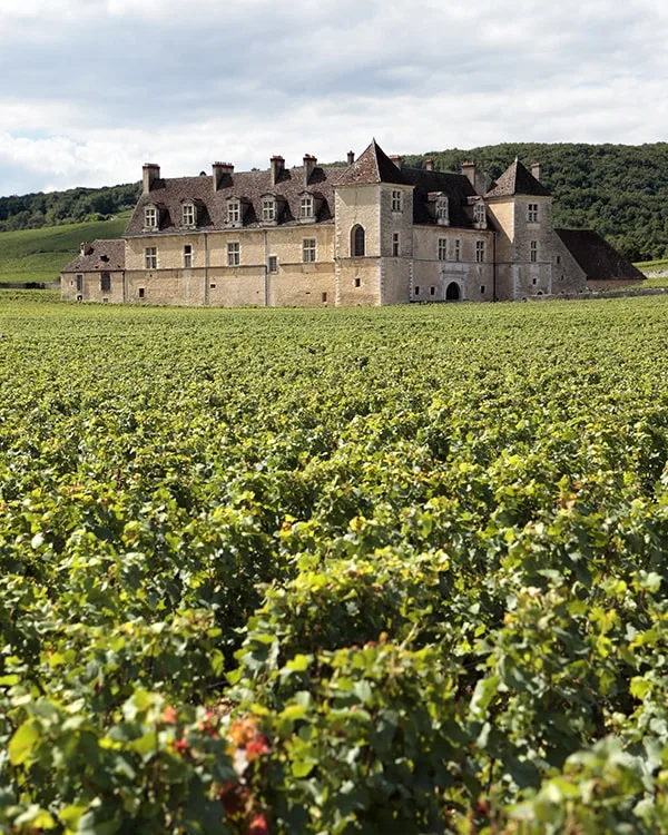 chateau vignoble