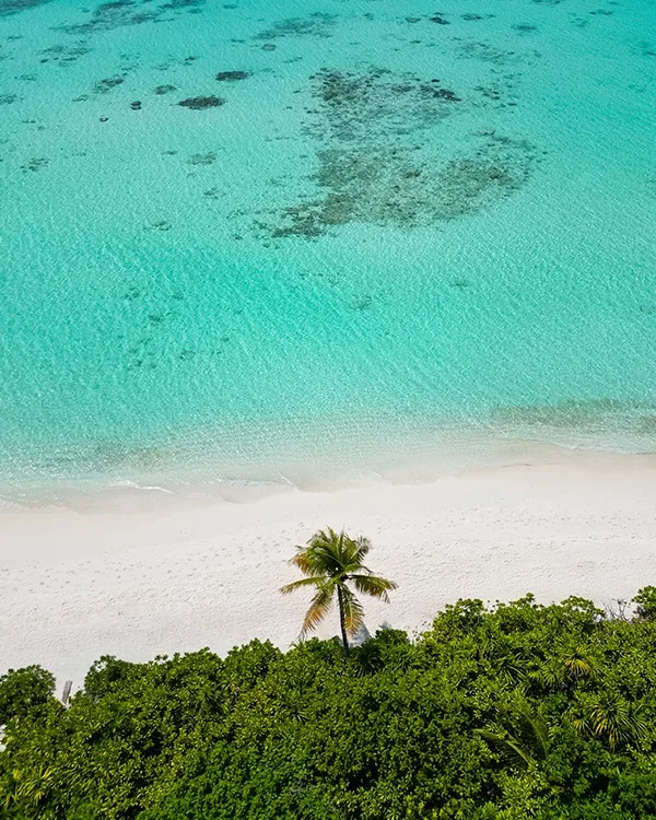 croiseire bahamas