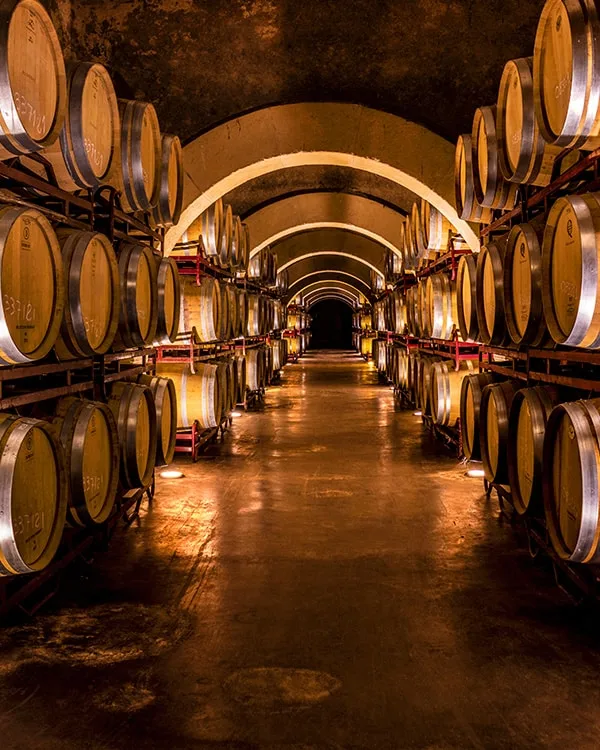 cuve vin