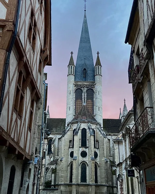 dijon cathetrale