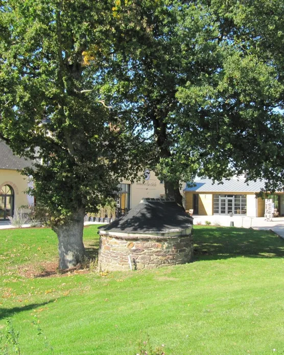 Domaine de Cicé-Blossac, photo 12