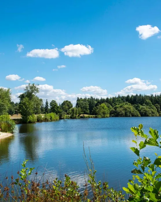 Domaine de Cicé-Blossac, photo 17