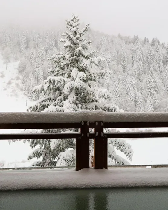 Domaine de Montagne - Hôtel Chalet Frère Joseph, photo 24