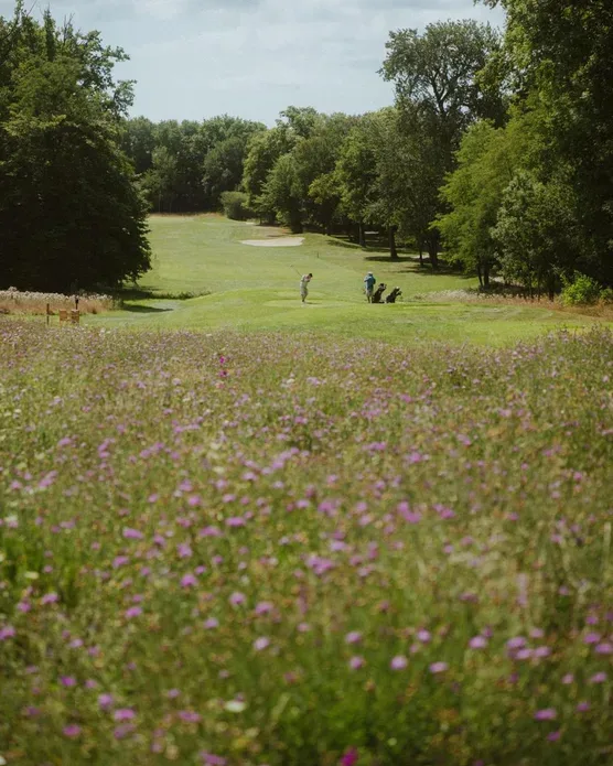 Domaine de Roncemay, photo 19