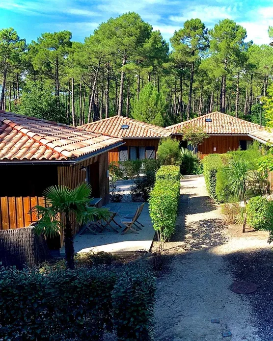 Domaine Du Ferret, photo 25