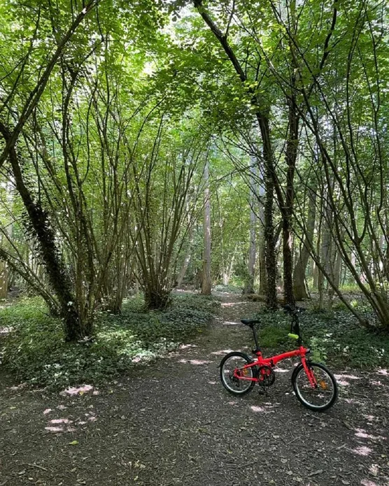 Domaine la Forêt d’orient, photo 22