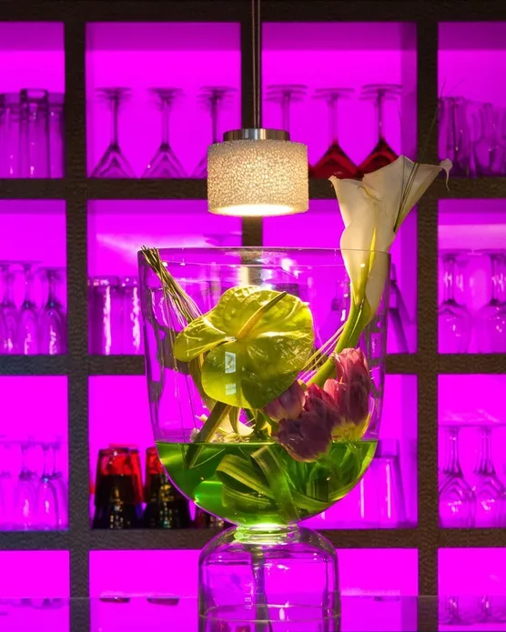 Eden Hotel & Spa, photo 45