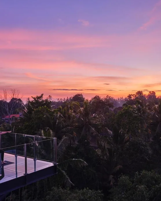 Element Bali Ubud, photo 8