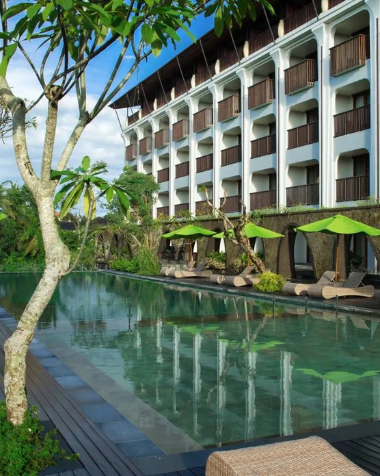 Element Bali Ubud, photo 1