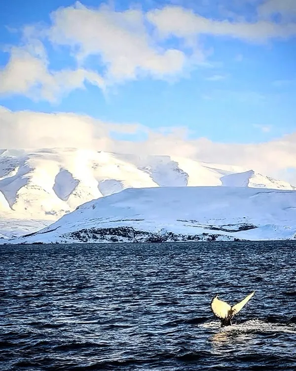 eyjafjörður