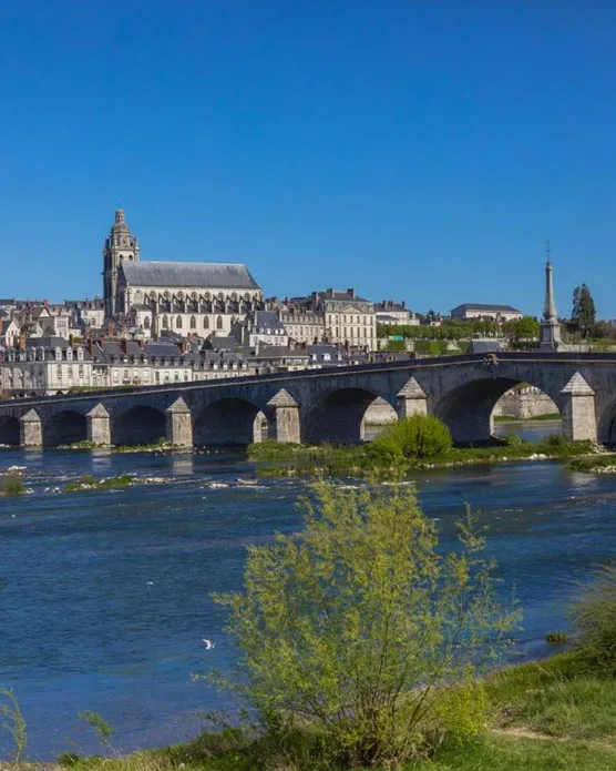 Fleur de Loire, photo 18