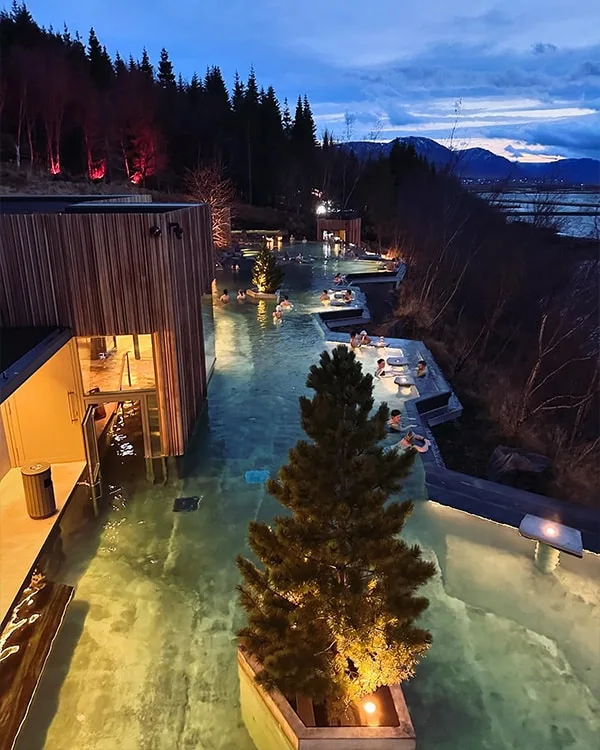 forest lagoon