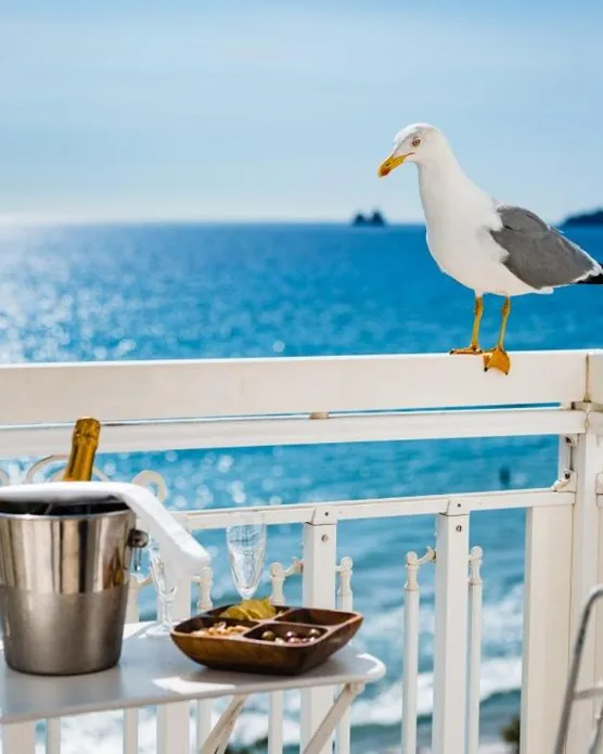 Grand Hotel des Sablettes, photo 19