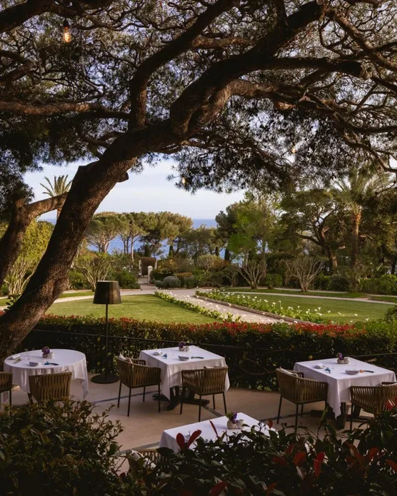 Grand Hôtel du Cap Ferrat, photo 12