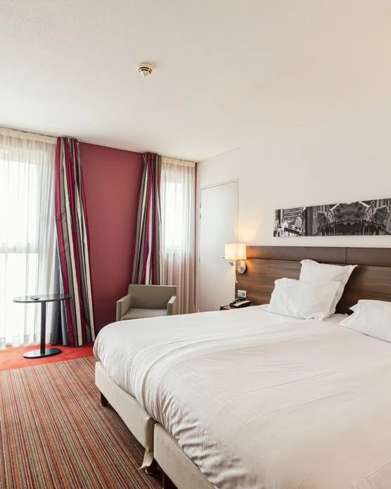 Holiday Inn Mulhouse, photo 20