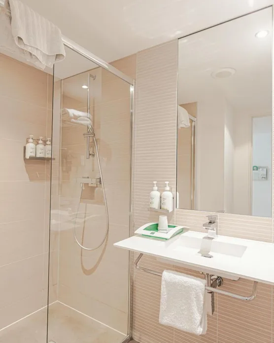 Holiday Inn Mulhouse, photo 28