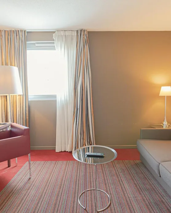 Holiday Inn Mulhouse, photo 32
