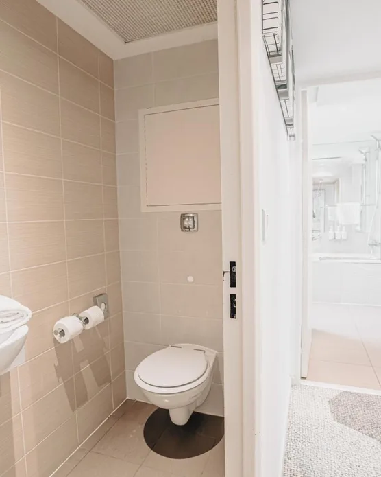 Holiday Inn Mulhouse, photo 33