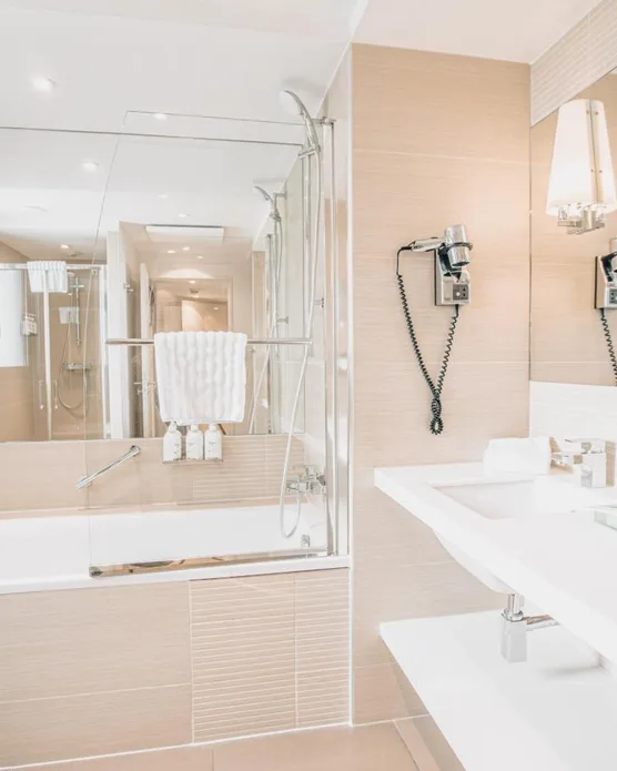 Holiday Inn Mulhouse, photo 34