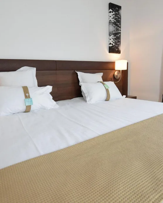 Holiday Inn Mulhouse, photo 38