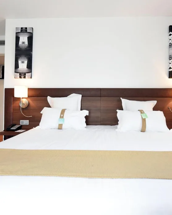 Holiday Inn Mulhouse, photo 39
