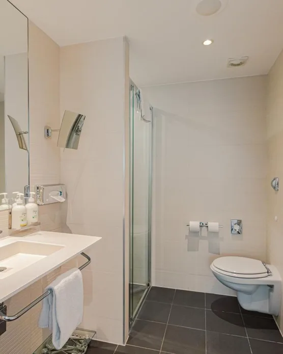 Holiday Inn Mulhouse, photo 8