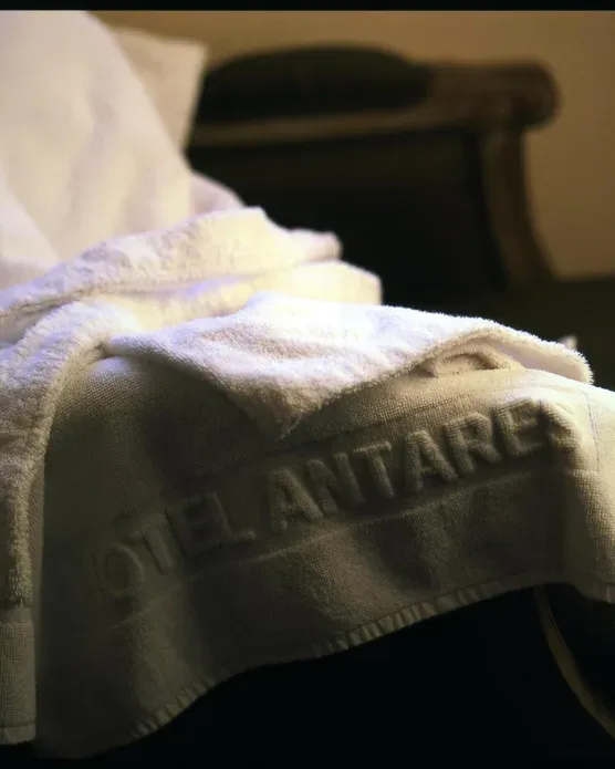 Hôtel Antares Honfleur, photo 32