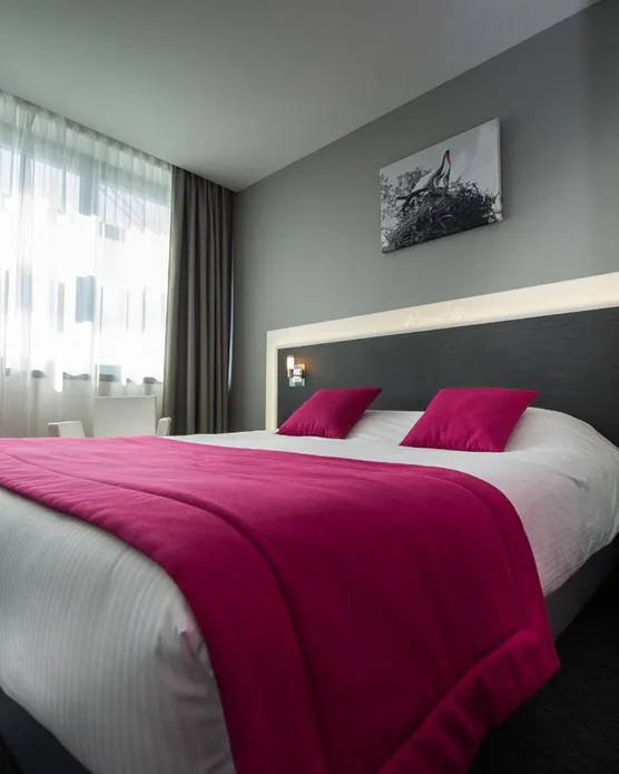 Hôtel Athéna Strasbourg, photo 21