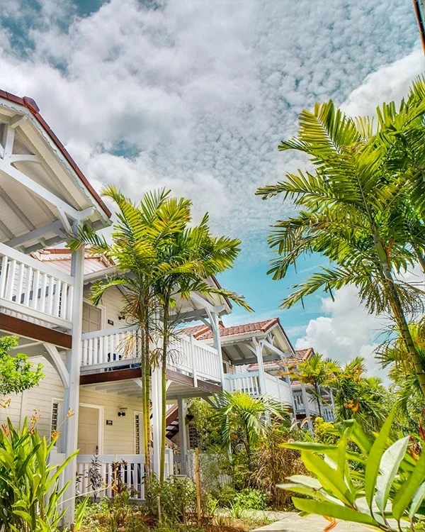 hotel bambou exterieur