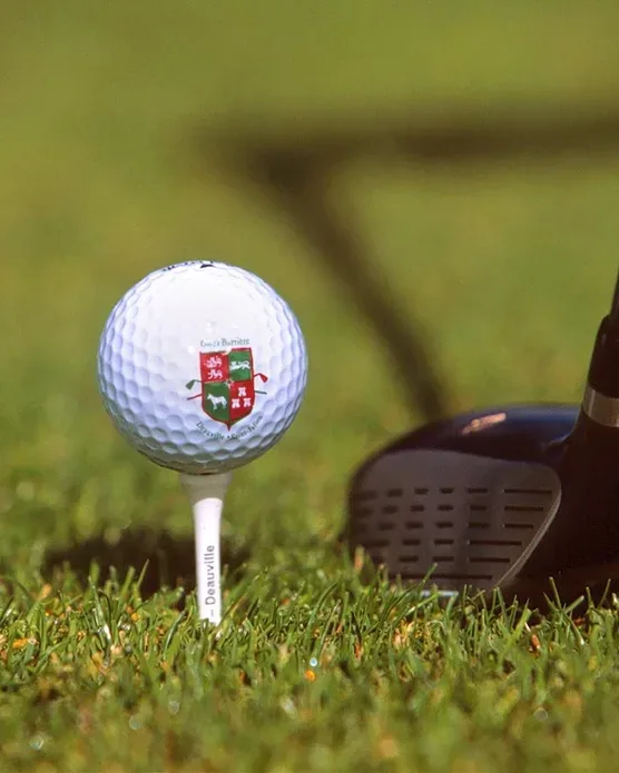 Hôtel Barrière L'Hôtel du Golf, photo 44