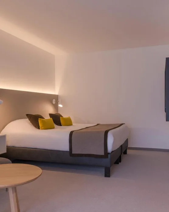 Hôtel Diana Molsheim, photo 40