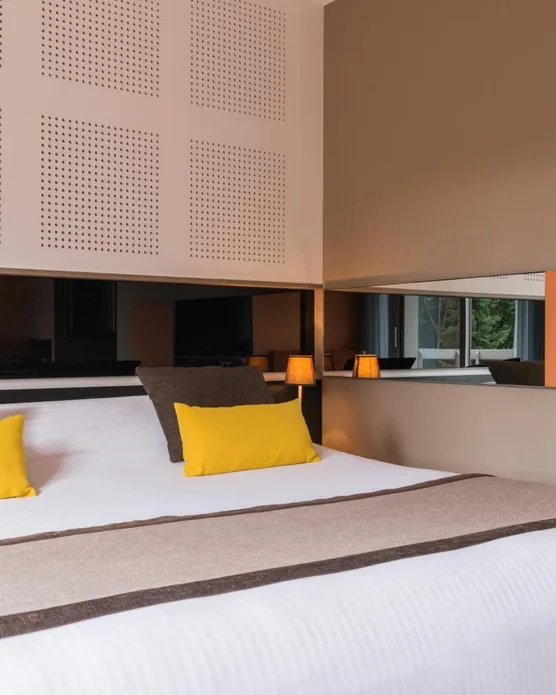 Hôtel Diana Molsheim, photo 42