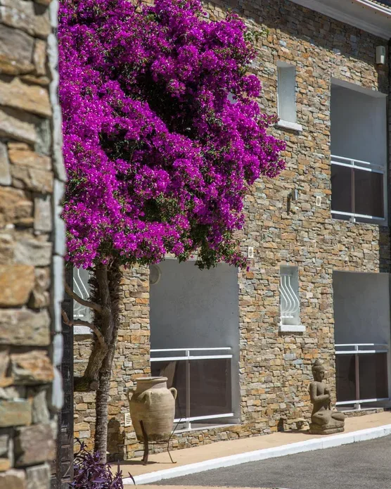 Hôtel La Lagune, photo 18