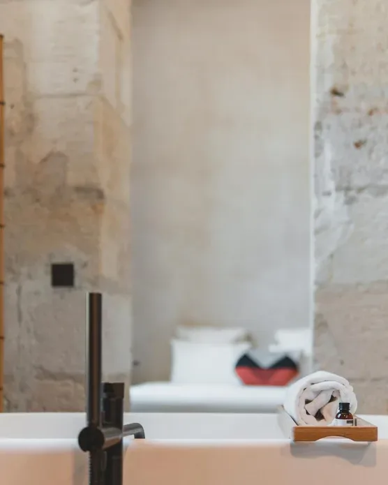 Hotel La Zoologie & Spa Bordeaux, photo 15
