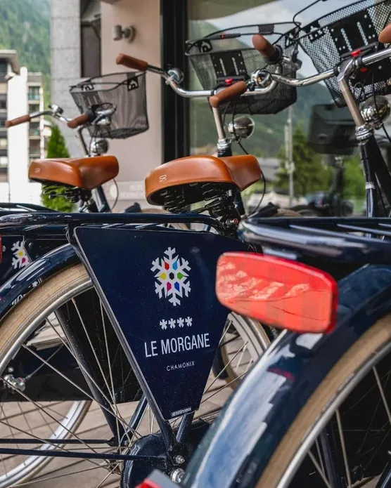 Hôtel Le Morgane Chamonix, photo 24