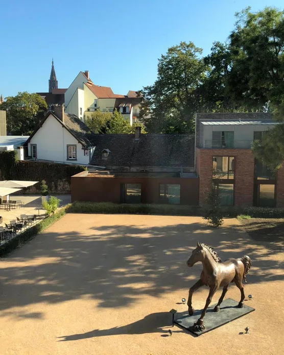 Hôtel Les Haras, photo 13