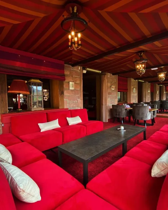 Hôtel Les Violettes, photo 33